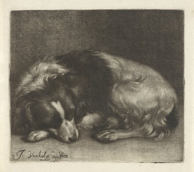 Cão adormecido, possivelmente um spaniel de Jan Verkolje (I)