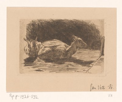 Dois bodes de Jan Veth (signed by artist)