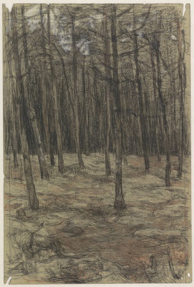 Paisagem florestal de Jan Veth