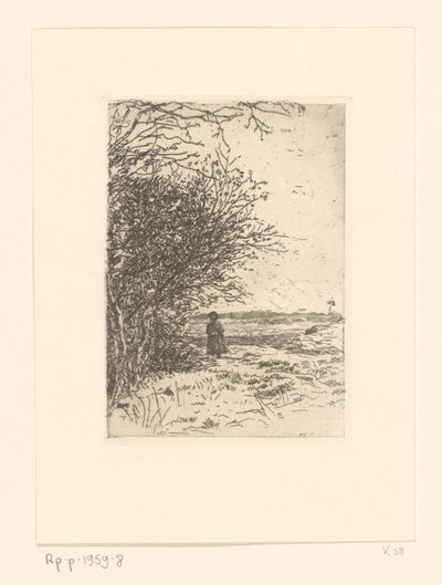 Mulher em uma paisagem Mulher na charneca (título original) de Jan Veth