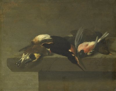 Pássaros mortos de Jan Vonck