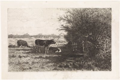 Vacas em pastagem de Johannes Martinus Vrolijk