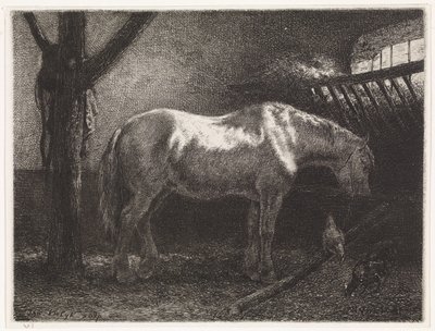 Cavalo no estábulo de Johannes Martinus Vrolijk