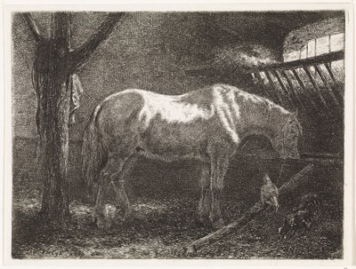 Cavalo no estábulo de Johannes Martinus Vrolijk