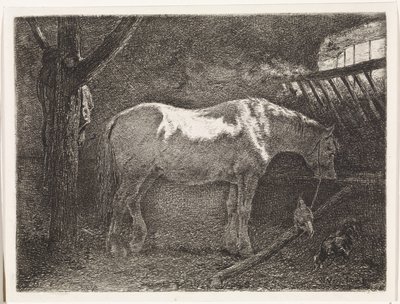 Cavalo em estábulo de Johannes Martinus Vrolijk