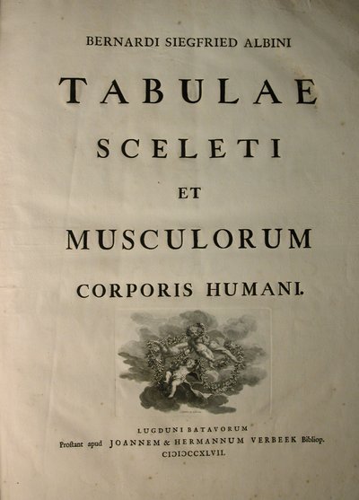 Álbuns 1, título da página, a partir de tabelas do esqueleto e dos músculos do corpo humano, por Bernhard Siegfried Albinus (1697-1770), publicado pela J.undH. Verbeek, bibliop., Leiden, 1747 de Jan Wandelaar