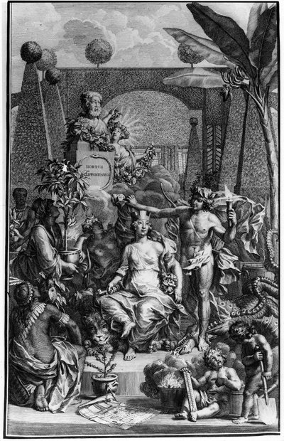 Frontispício de "Hortus Cliffortianus" de Charles Linne (Carl von Linne, Linneus 1707 - 1778), naturalista sueco. 1737. Gravura de Jan Wandelaar (1690-1759). Coleção privada. de Jan Wandelaar