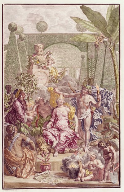 Frontispício de &39;Hortus Cliffortianus&39; por Carl Linnaeus (1707-78) de Jan Wandelaar