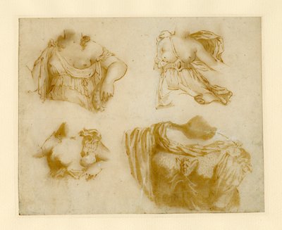 Quatro estudos de um torso drapeado. de Jan de Bisschop
