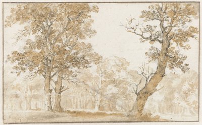 Floresta de Haia de Jan de Bisschop
