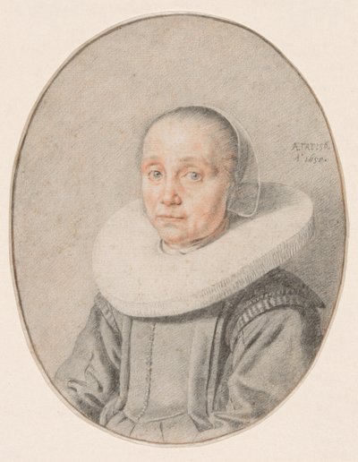 Um retrato de uma mulher de Jan de Bray