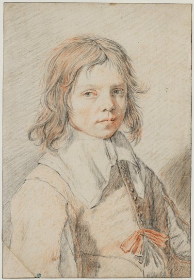 Retrato de um rapaz de Jan de Bray