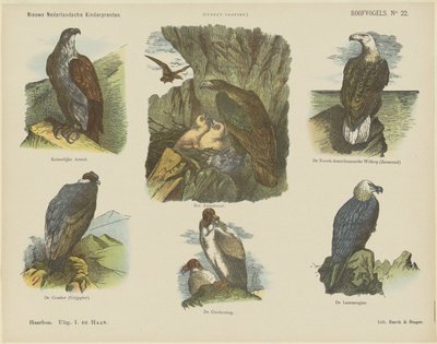 Aves de rapina (título sobre o objecto)
Novas impressões para crianças holandesas (título da série sobre o objecto)
Impressões de Funke (título da série sobre o objecto) de Jan de Haan