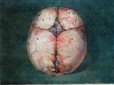 The Brain, de 