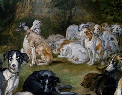 Cães, detalhe de Diana e Ninfas no ponto de partida de Jan the Elder Brueghel
