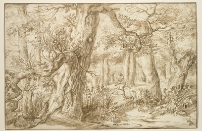 Forest Interior com desenhista, c.1664 (tinta marrom sobre papel antigo) de Jan the Elder Lievens