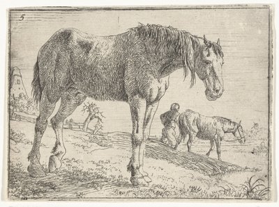 Cavalo em pé
Paisagens com cavalos (título da série) de Jan van Aken