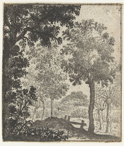 Paisagem com grande árvore em primeiro plano de Jan van Brosterhuyzen