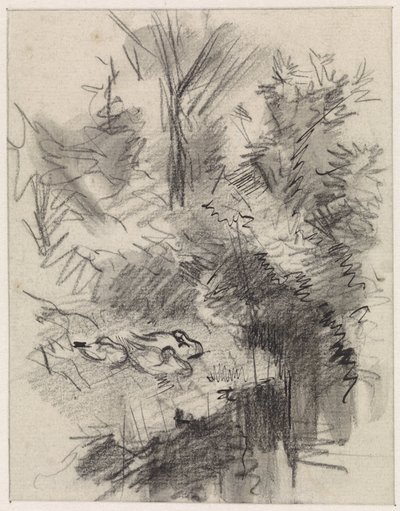 Patos dormindo entre arbustos à beira da água de Jan van Essen