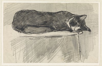 gato dormindo de Jan van Essen