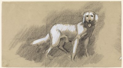 Cão de pé de Jan van Essen