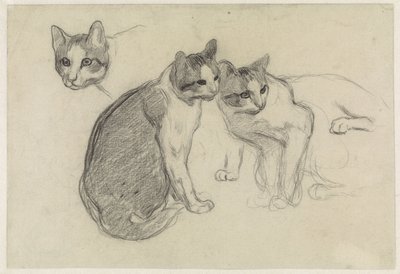 Folha de estudo com gatos de Jan van Essen