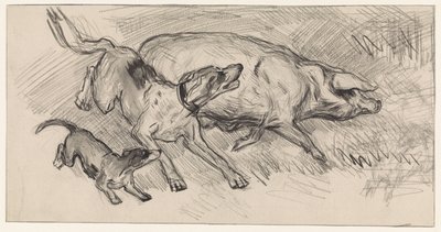 Dois cães a perseguir um porco de Jan van Essen