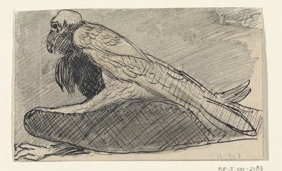 Abutre sentado de Jan van Essen