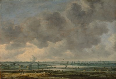 Vista de Haarlem e do Haarlemmer Meer, 1646. de Jan van Goyen