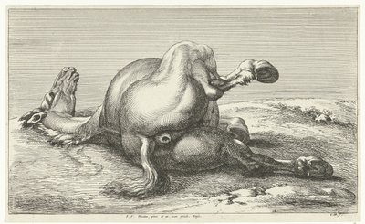 cavalo caído Cavalos Mortos (título da série) de Jan van Huchtenburg