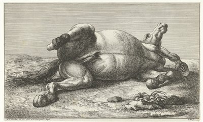 Cavalo morto deitado no seu lado esquerdo
Cavalos mortos (título da série) de Jan van Huchtenburg