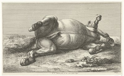 Cavalo morto deitado no seu lado esquerdo
Cavalos mortos (título da série) de Jan van Huchtenburg