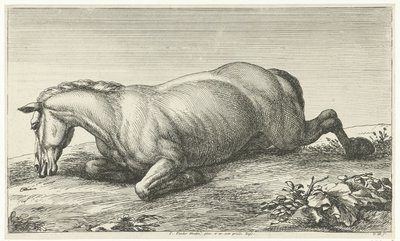 Cavalo morto deitado de barriga para baixo
Cavalos mortos (título da série) de Jan van Huchtenburg