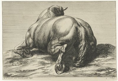 Cavalo morto na barriga visto por trás
Cavalos mortos (título da série) de Jan van Huchtenburg