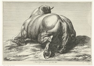 Cavalo morto na barriga visto por trás
Cavalos mortos (título da série) de Jan van Huchtenburg