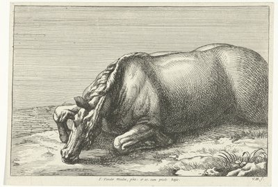 Cavalo morto visto do lado esquerdo
Cavalos mortos (título da série) de Jan van Huchtenburg
