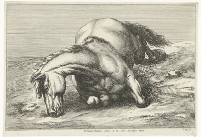 Cavalo morto deitado do lado direito Cavalos Mortos (título da série) de Jan van Huchtenburg