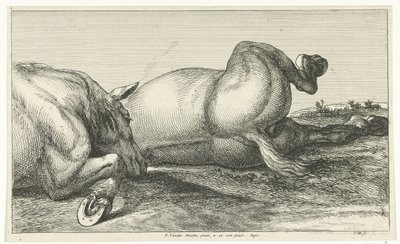 Dois cavalos mortos atrás um do outro Cavalos Mortos (título da série) de Jan van Huchtenburg