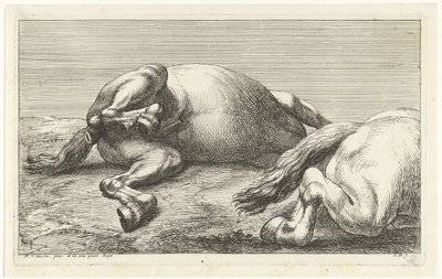 Dois cavalos caídos, com o direito visto de lado
Cavalos mortos (título da série) de Jan van Huchtenburg