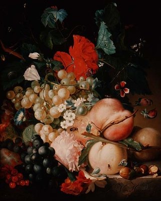 Flores e frutos mistos com insetos em um rodapé de mármore de Jan van Huysum