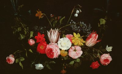 Imagem desconhecida de Jan van Kessel