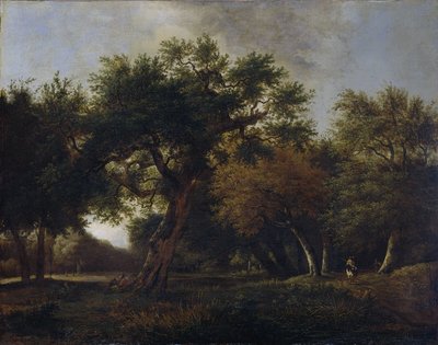 Vista na floresta de Jan van  Kessel