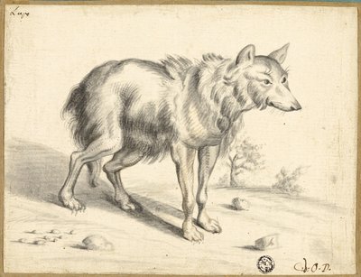 Loba de Jan van Os