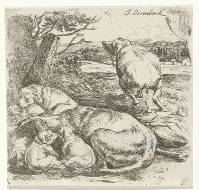 Fêmea com cachorros de Jan van Ossenbeeck