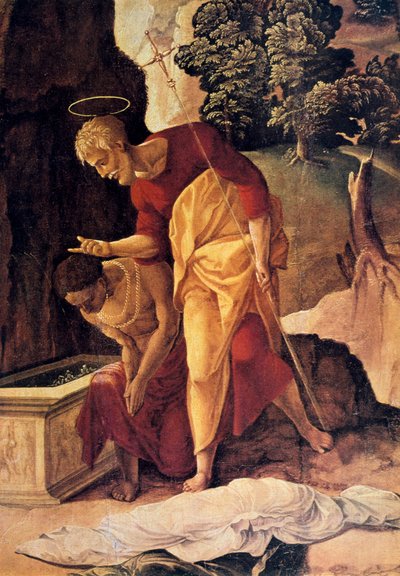 O Apóstolo Filipe Batizando o Eunuco, detalhe, século XVI. de Jan van Scorel