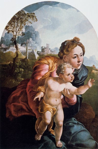 A Virgem e o Menino, século XVI. de Jan van Scorel