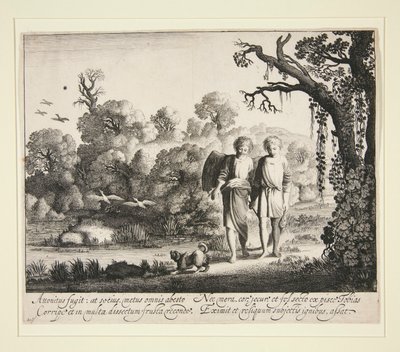 Tobias e o Anjo, com o Peixe da História de Tobias de Jan van de Velde II
