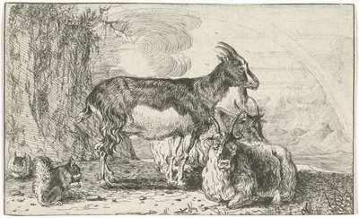 Ziegen von Jan van den Hecke