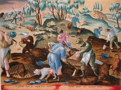 Escavação e captura de porcos-espinhos, placa 54 