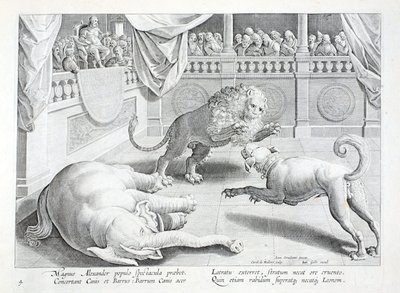 Alexandre o Grande dá espetáculo, luta de leões, cães e elefantes, ilustração de "Venationes, Ferarum, Avium, Piscium" (De Caça: Bestas, Aves, Peixes), gravada por Jan Collaert (1566-1628), pub. por Phillipus Gallaeus, Amsterdam (gravura) de Jan van der Straet